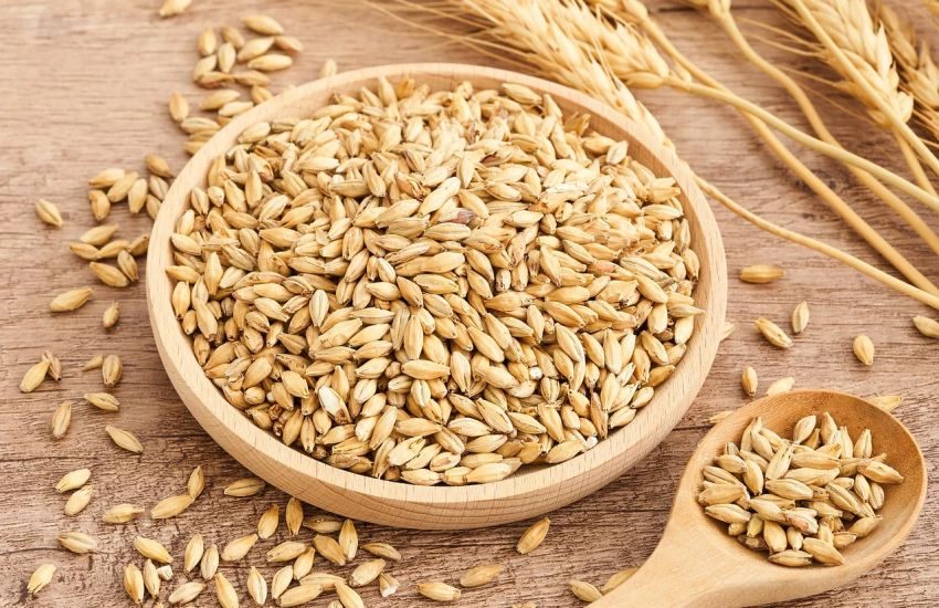صادرات القمح