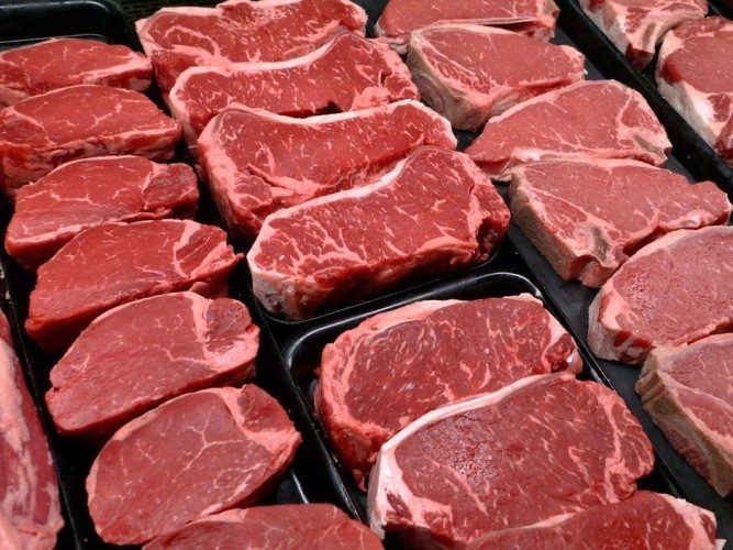 صادرات لحوم البقر البرازيلية تصل إلى 166.1 ألف طن في الأسبوع الرابع من ديسمبر