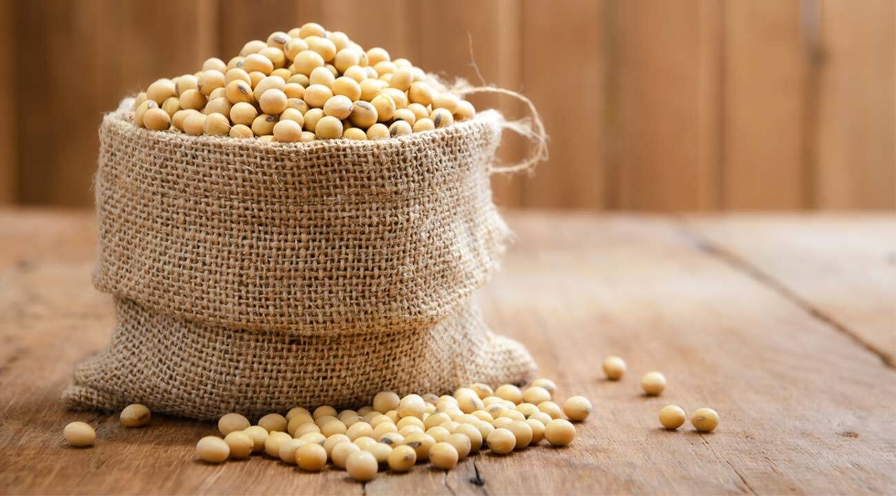 فول الصويا