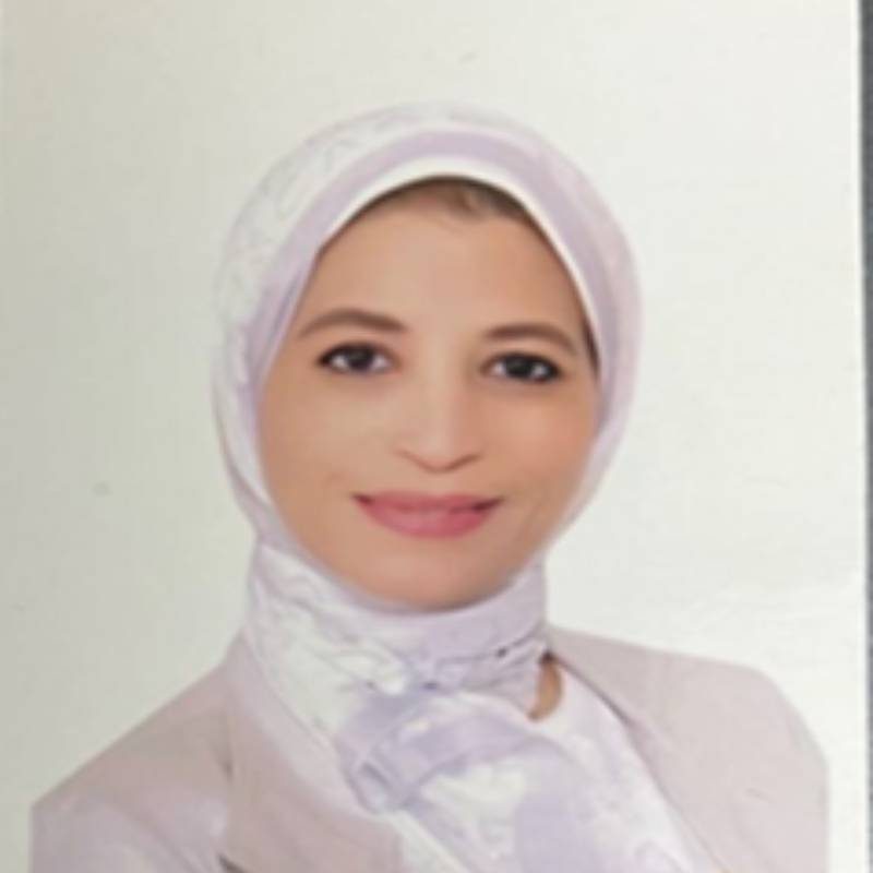 الإنسان